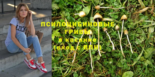 таблы Дмитриев