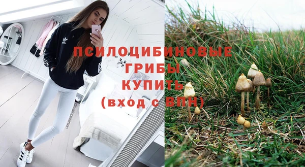 таблы Дмитриев