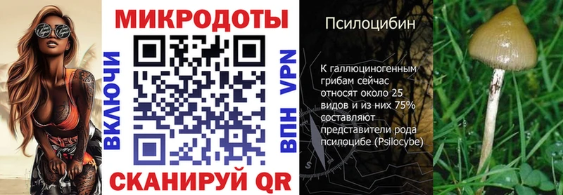 Псилоцибиновые грибы Psilocybine cubensis  blacksprut вход  Новочеркасск  где продают  