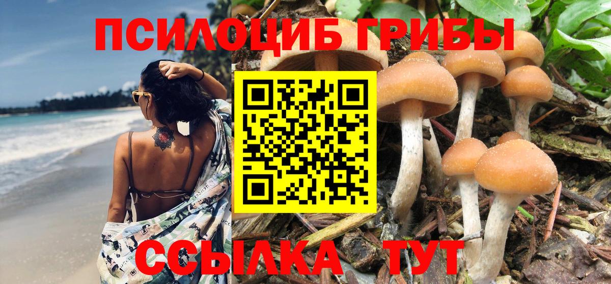 Галлюциногенные грибы Cubensis  Вход с VPN  купить  сайты  Новочеркасск 